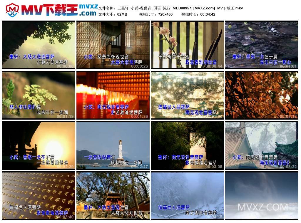 王墨轩_小武-观世音_国语_流行_MED00957